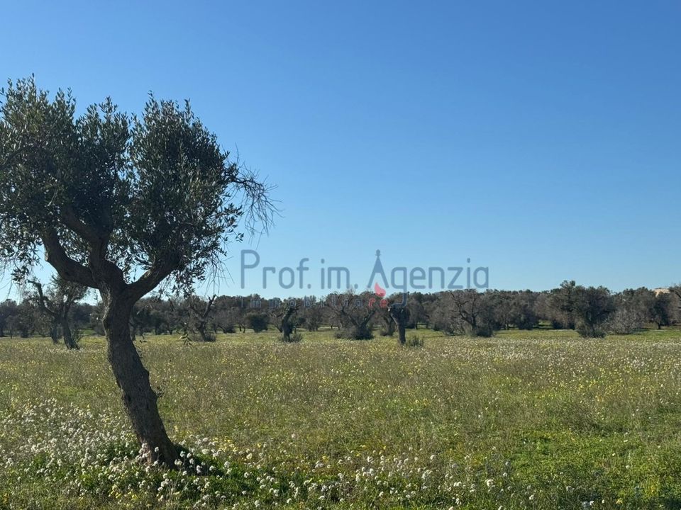 Lejlighed i Carovigno, Brindisi - foto 1